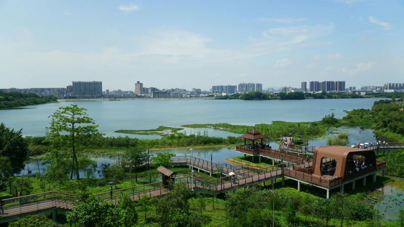 盤點深圳十大最美公園，你最愛的是哪個公園？